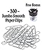 Klingy Smooth Paper Clips 300 Pcs, Jumbo, with Free Bonus Magnetic Clip Holder, Two Compartments