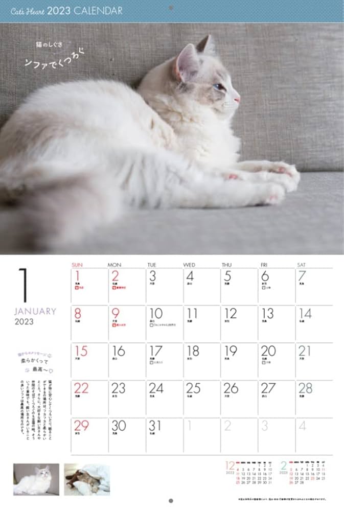 ねこのきもち　2019年03月〜2023年02月 ねこのきもち 2023年3月号｜株式会社シーオーツー