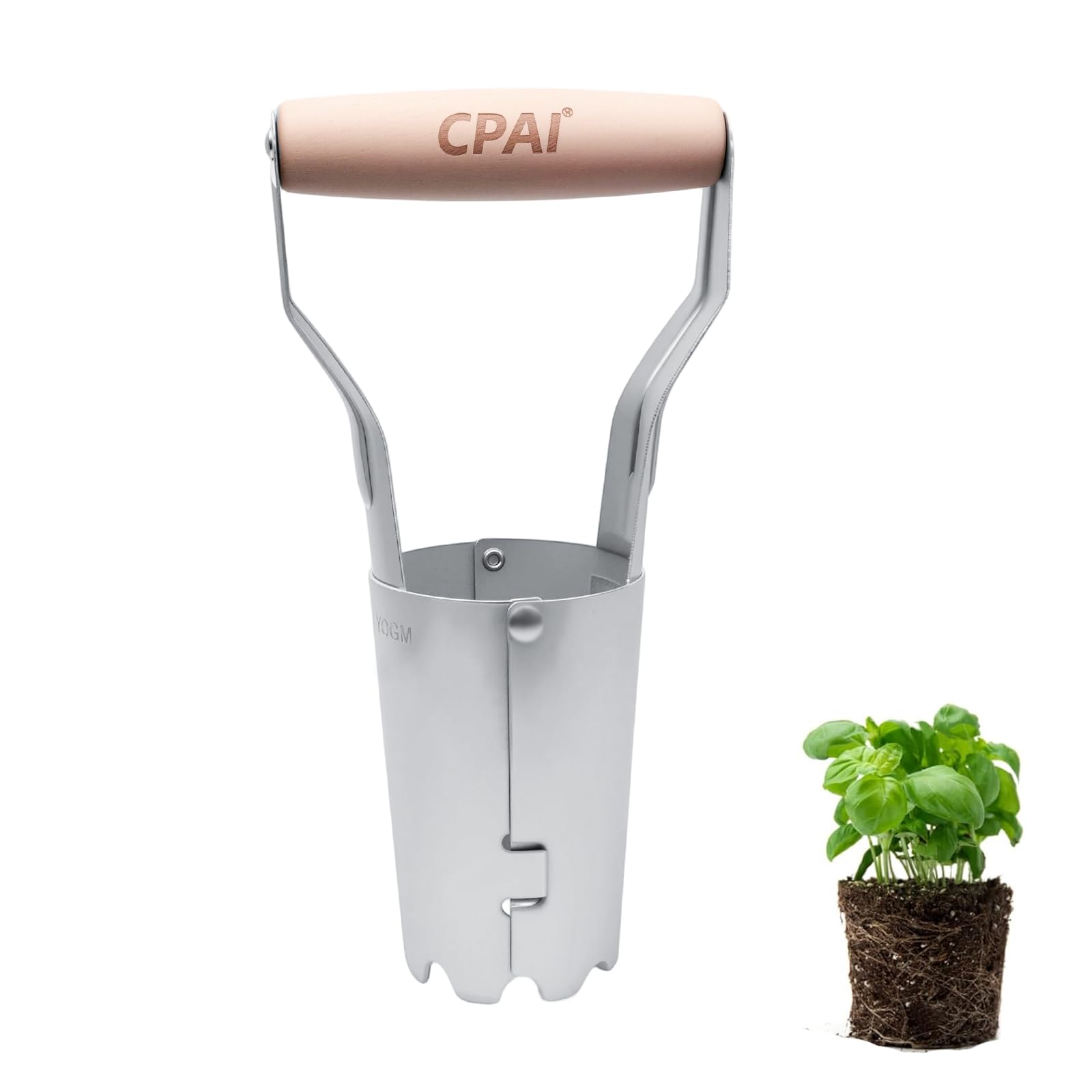Bulb Planter Tool, Stainless Steel Bulb Planter with 4 Inch Measurements, Garden Bulb Transplanter with Comfortable Wood Handle for Outdoor Garden Planting Transplanting