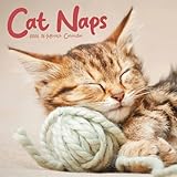Cat Naps Calendar 2026