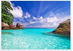 tela de projeção 100 polegadas dobrável com Adesivo com cola pra colocar na parede.