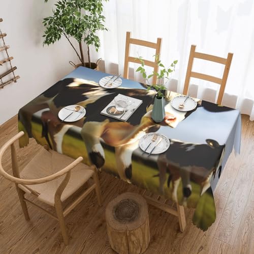 Nappe rectangulaire motif vache mignonne imperméable 137 x 183 cm lavable décoration table extérieur