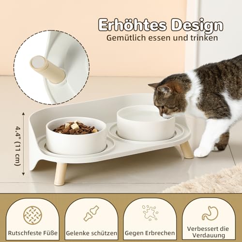 Hundenapf Set Erhöht Hunde Napfset - Doppel Fressnapf Hund Keramik mit Spritzschutz Ständer - Hundenäpfe 2er Set für Futter und Wasser - Futterstation für Kleine Hunde und Katzen - 2 x 300 ml - Weiß