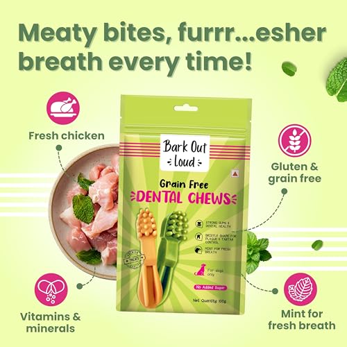 Image of BARK Out Loud - Dental Treats | Brush Shape Dog Chews | Removes Plaque /Tartar | Fresh Smell | Oral Care Gluten Free| Chicken Dog Treats- 200 GMS (100 gm x 2), All Life Stages, Stick