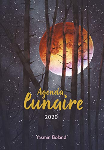 Télécharger Mon agenda lunaire PDF