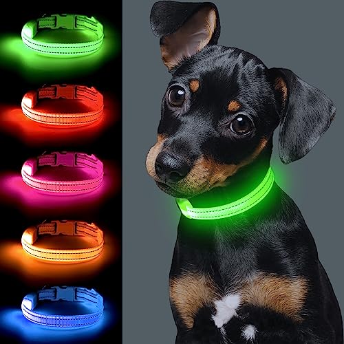 Collare Con Fibbia E Guinzaglio - Foto 9