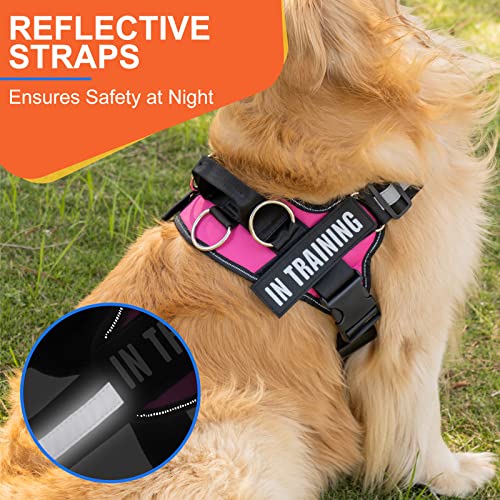 Essential Dog Harness, No Pull Pet Harness With 3 Side Rings For Leash Placement, No Choke, Reflective, Adjustable Pet Vest, Easy On-Off & Improved Control Handle, Training, Walking, Running #TOP6