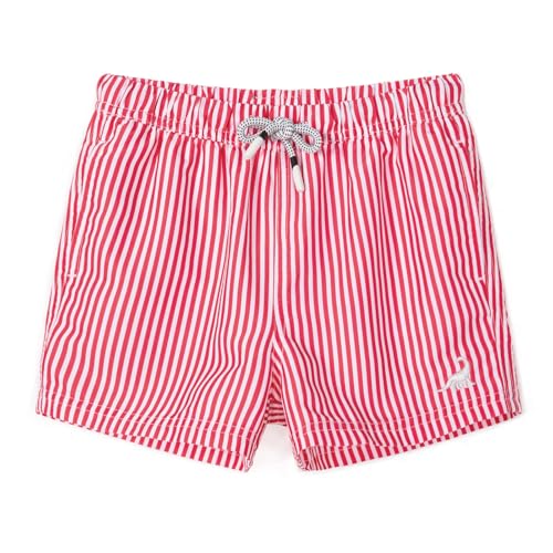 Image of SURF CUZ Boys Swim Trunks Toddler Swim Shorts UPF 50+ Bathing Suit for Boy Swimsuit Quick Dry Mesh Beach Boardshorts Swimwear