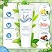 BERGMAN KELLY - Travel Size Lotion - 1 fl oz, 100 PK, White Tea - Delight Your Guests with Invigorating and Refreshing Body Lotion - Quality Mini and Small Size Guest Hotel Toiletries in Bulk