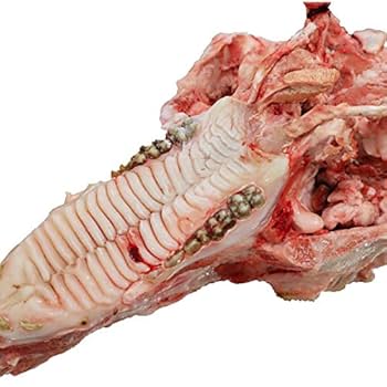 豚骨様　確認用 Amazon.co.jp: プロ用栃木県産豚頭骨約1.5kg Domestic pork