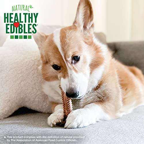 Image of Nylabone Healthy Edibles Natural Dog Chews Long Lasting Chew Treats for Dogs, Roast Beef Flavor, X-Small /Petite (4 Count) (Pack of 2)