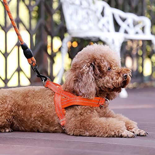 Image of Plutus Pet No Pull Dog Harness for Puppy Small Dogs, Breathable Mesh Padded