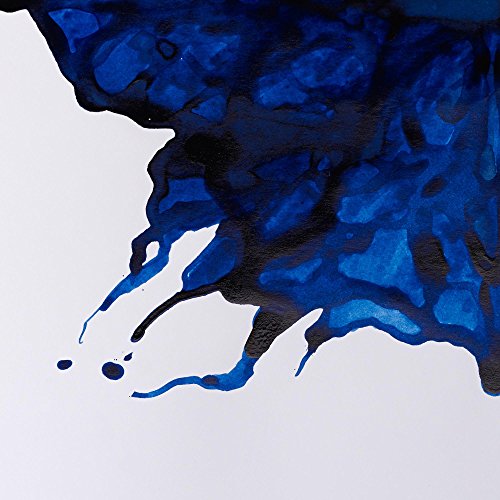 Image of Winsor & Newton Drawing Ink 14 ML - Ultramarie (660), Fast Drying, Transparent, Water-Resistant & Intermixable Inks, Ideal for Brush, Dip Pen or Air Brush - More Colours Available