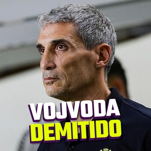 VOJVODA DEMITIDO E PALMEIRAS &Eacute; O NOVO L&Iacute;DER - VARzea