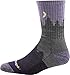 Darn Tough Vermont Women's Treeline Micro Crew Midweight with Cushion Hiking Sock (Style 1971) - Blue, Medium