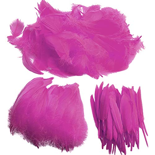Pveath Feather for Crafts,250 Pcs Coloured Feather Striking Feathers for DIY Dream Catchers Natural Crafts Feathers for Wedding/Party/Decorations(3 Sizes) (Rose red)