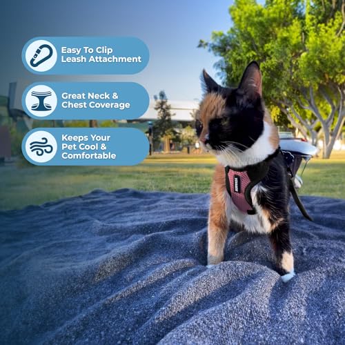 Image of Voyager Escape-Proof Step-in Lock Cat Harness & 5ft Neoprene-Handle Leash Set All-Weather Mesh with Reflective Stitching for Small to Large Cats by Best Pet Supplies, Pink /Black Trim, XS