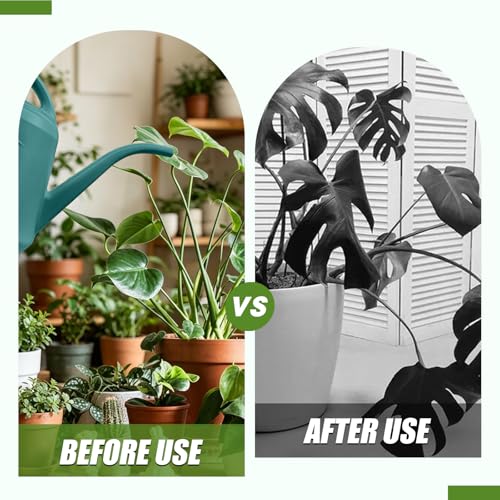 Image of Plastic Plant Watering Can - Green - 1 /2 Gallon