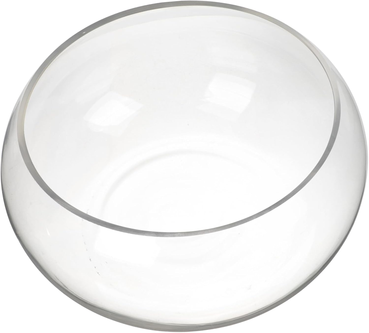 Modern Round Bubble Vase Fish Tank Large Decorative Glass Bowl for Home Office