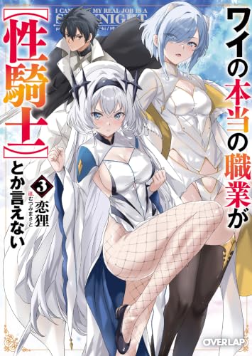 ワイの本当の職業が【性騎士】とか言えない 3 (オーバーラップ文庫)