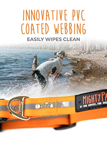 Mighty Paw Waterproof Dog Collar, Smell-Proof Active Dog Gear, Coated Nylon Webbing With Reflective Stripe. (Orange, Medium) #TOP3
