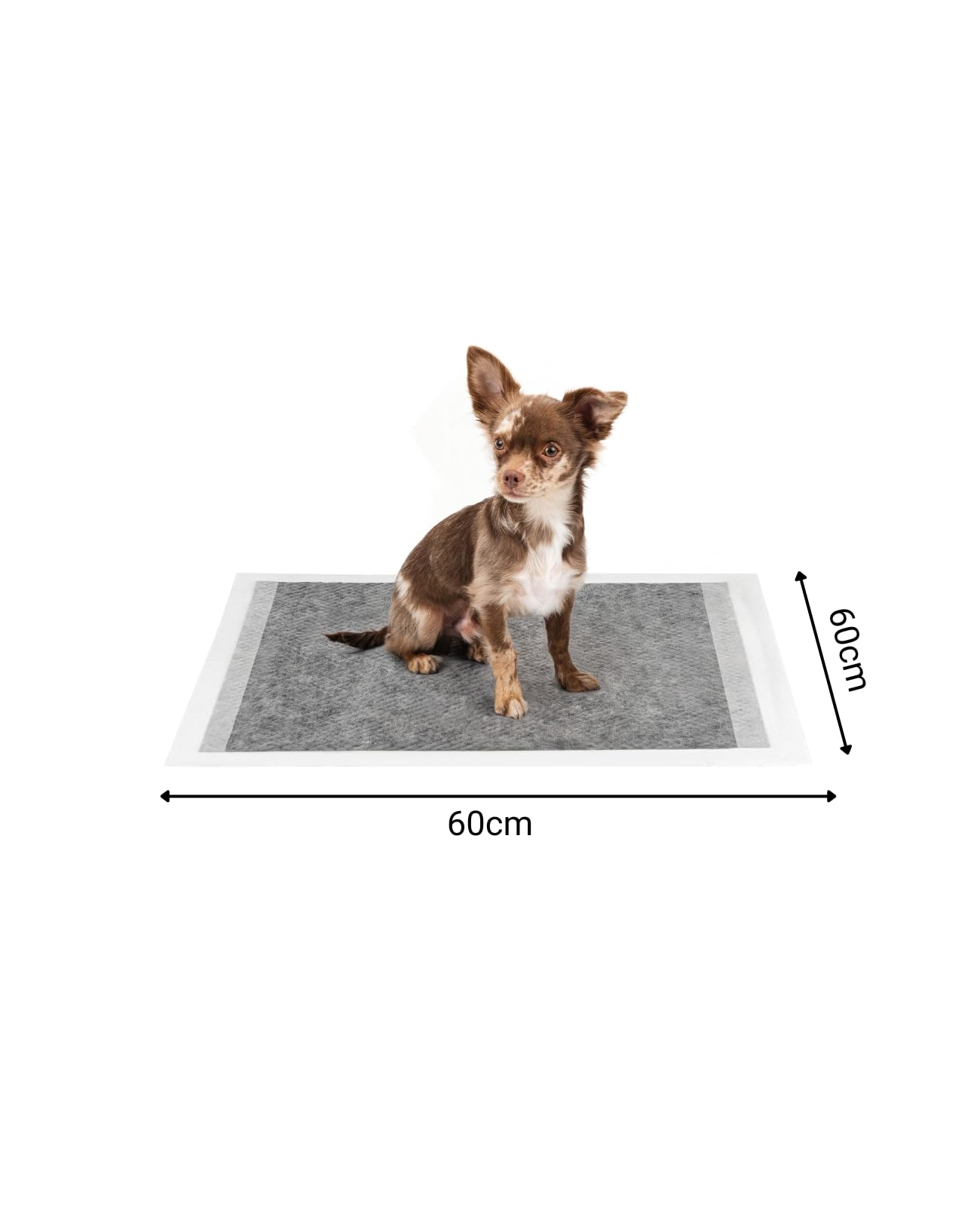 lionto Trainingsmat voor puppy's, hygiënische hondenmat lionto Trainingsmat voor puppy's, hygiënische hondenmat