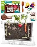 Root Viewer Kit for Kids - Grow Your Own Plant & See Roots Grow! STEM Science Gardening Toy for Boys & Girls Ages 4-10 - Creative Gift for Birthday, Easter, School Projects (Gardening Kit for Kids)