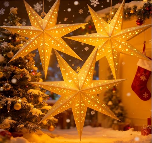 HOUISM Papiersterne zum Aufhängen, 3 Stück Papierstern Lampenschirm...
