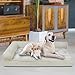 RUYICZB Orthopedic Dog Bed Medium Size Dog, Memory Foam Dog Beds for Crate with L-Shaped Bolster Pet Couch Washable Egg Crate Foam Dog Sofa Bed for Large Dogs Non-Skid Bottom,Wine red,S
