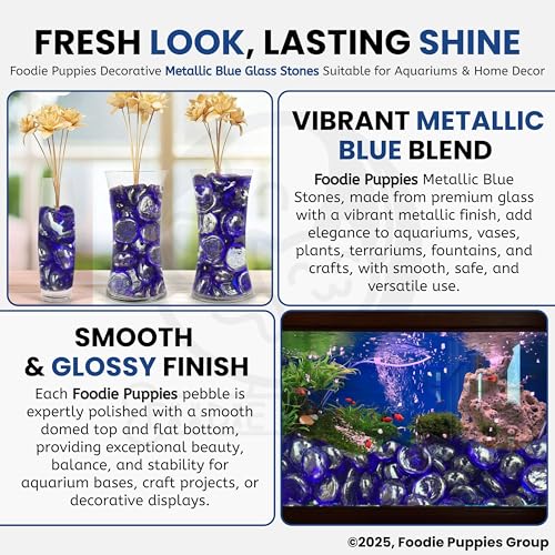 Image of Foodie Puppies Glass Pebbles Stones (2Kg, Metallic Blue) (2cm - 2.5cm) for Decoration of Garden, Plants Pots, Fish Tank, Aquariums, Tables Small Crystal Clear Flat Decorative Vase Filler Marbles