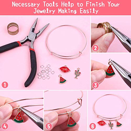 Thrilez 300Pcs Bangle Bracelets Making Kit, Charm Bracelet Making Kit With Expandable Bangles, Charms, Jump Rings And Pliers For Jewelry Making Bangle Bracelets (With Gift Box And Tools) #TOP4