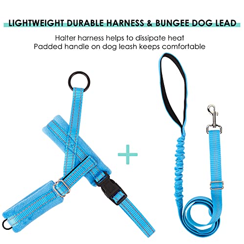 Eyein Dog Harness Small Dog, Anti Pull Heavy Duty Dog Harness and Lead Set - Image 4
