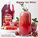 Concession Express Slush & Slushy Mix Multi-pack, Choose Any Flavors (Six Pack)