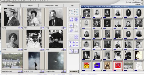 Der Stammbaum Premium 4.0 – vue 5