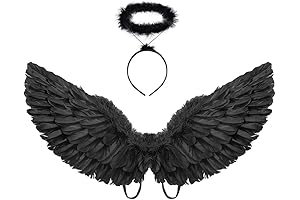 Dark Angel Halo and Wings