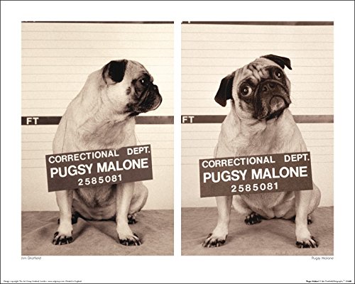 The Art Group Jim Dratfield (Pugsy Malone) -Art Print 40 x 50cm, Paper, Multicoloured, 40 x 50 x 1.3 cm