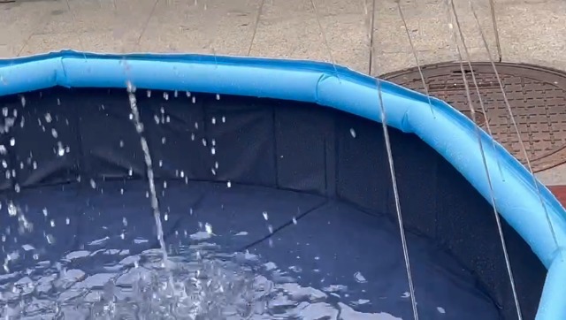 EPN Large Foldable Dog Pool – 0.55MM PVC 2-in-1 Portable Bathtub & Sprinkler for Dogs, Cats, Kids – Heavy Duty, Non-Slip, Summer Water Toy (106 in) - image 8