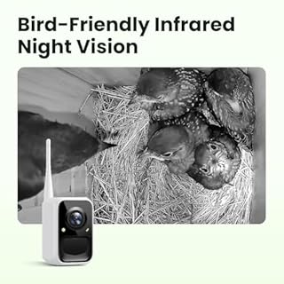 Birdfy Smart Bird House with Camera Solar Powered, 1080HD Live Video & Night Vision for 24/7 Nesting Recording, Auto Detect & Notify, Ideal Nature Gift for Bird Lovers, AI Identify Lifetime Free