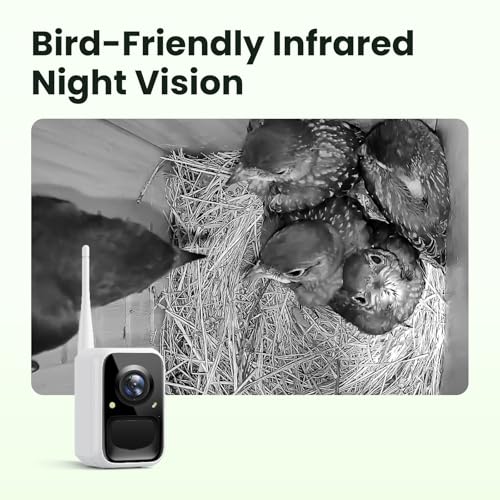 image for Birdfy Smart Bird House with Camera Solar Powered, 1080HD Live Video &