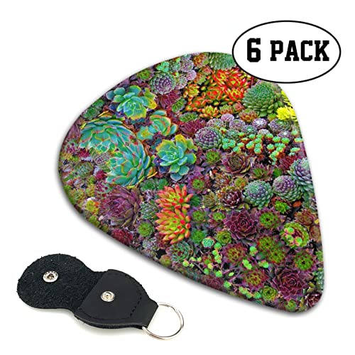 Succulent Lot de 6 médiators pour guitare acoustique, guitare électrique, basse, ukulélé – fin, moyen et épais. - Les Beatles, Paul McCartney, John Lennon, RIngo Starr, George Harrison Succulent Lot de 6 médiators pour guitare acoustique, guitare électrique, basse, ukulélé – fin, moyen et épais. – Image 3