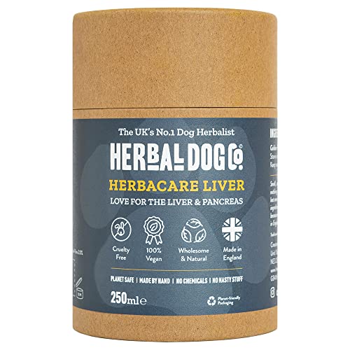 10 Best Liver Support For Dogs June 2024