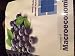 Foundations of Macroeconomics (6th Edition)