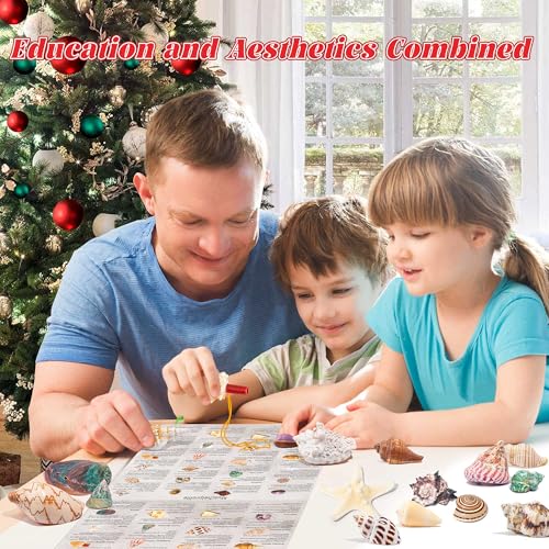 Image of Advent Calendar 2024 Crystals for Kids with 24 Days Christmas Countdown Surprises, Natural Mineral & Rock Stone for Learning, Collection, Scientific Gift for Girls & Boys & Geology Enthusiasts (Seashell Advent Calendar 2024)