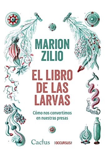 El libro de las larvas livre Marion Zilio essai philosophique art écologie contemporaine