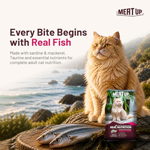 Image of Meat Up Adult Dry Cat Food 14kg (7kg + 7kg) | Ocean Fish Flavour | Maintains Urinary pH | Hairball Control | Promotes Healthy Skin & Coat | Supports Heart Health