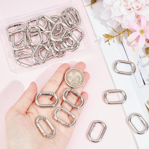 SOFPLATE 1 Box 30Pcs Spring Oval Carabiner Small Key Chain Hooks Bulk Hypoallergenic Zinc Alloy Square Open Silver Trigger Rings for jewellery Making Supplies Purse Keychain Lanyard Bags DIY Crafts - Image 3