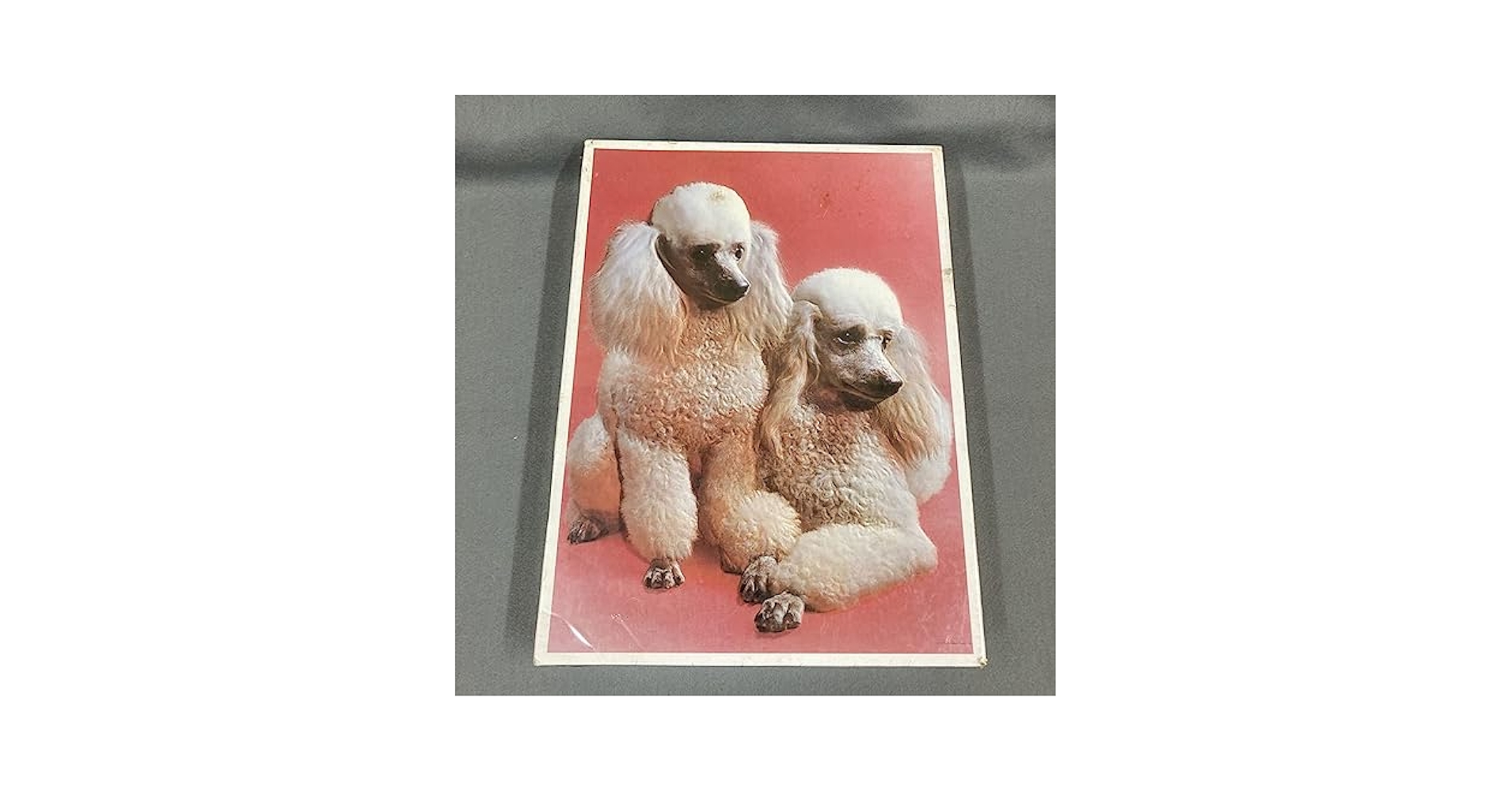 【昭和・レトロ・当時物】ザシキブタ ビン入り ジグソーパズル 未開封品1985年 昭和・レトロ・当時物】ザシキブタ ビン入り ジグソーパズル 未