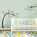 decalmile Pegatinas de Pared Koala y Árbol Vinilos Decorativos Libélulas Oso Koala Adhesivos Pared Infantiles Habitación Bebés Niños Dormitorio Guardería