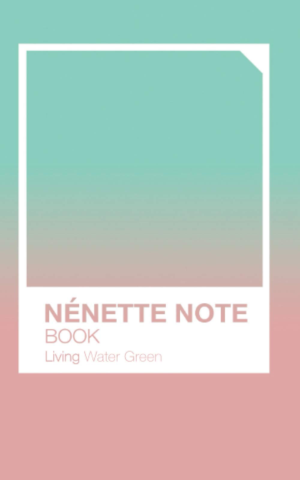 nénette notebook: cahier d'idées