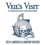 Cover of Veil's Visit